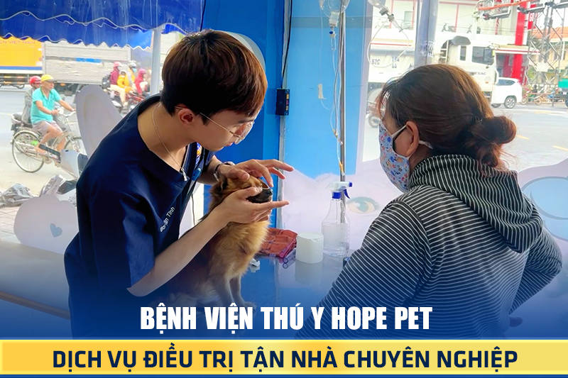 thong-tin-tham-khao-220822-1