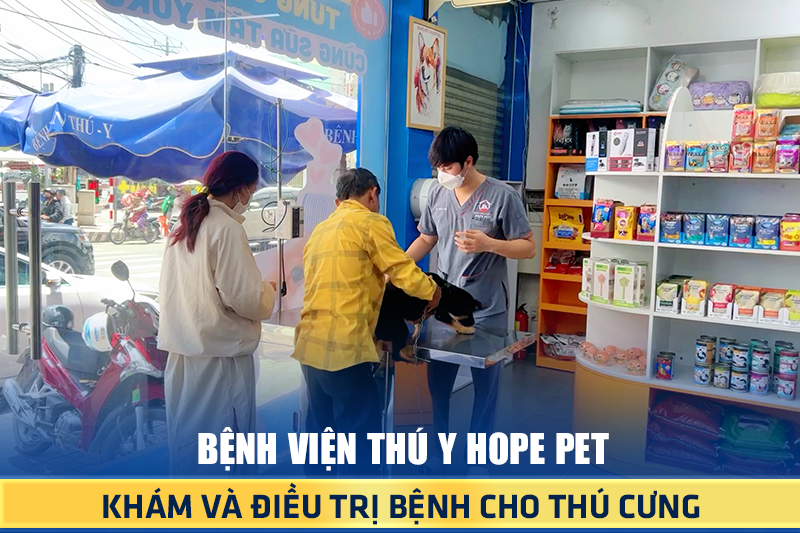 Ra mắt iHealing Center